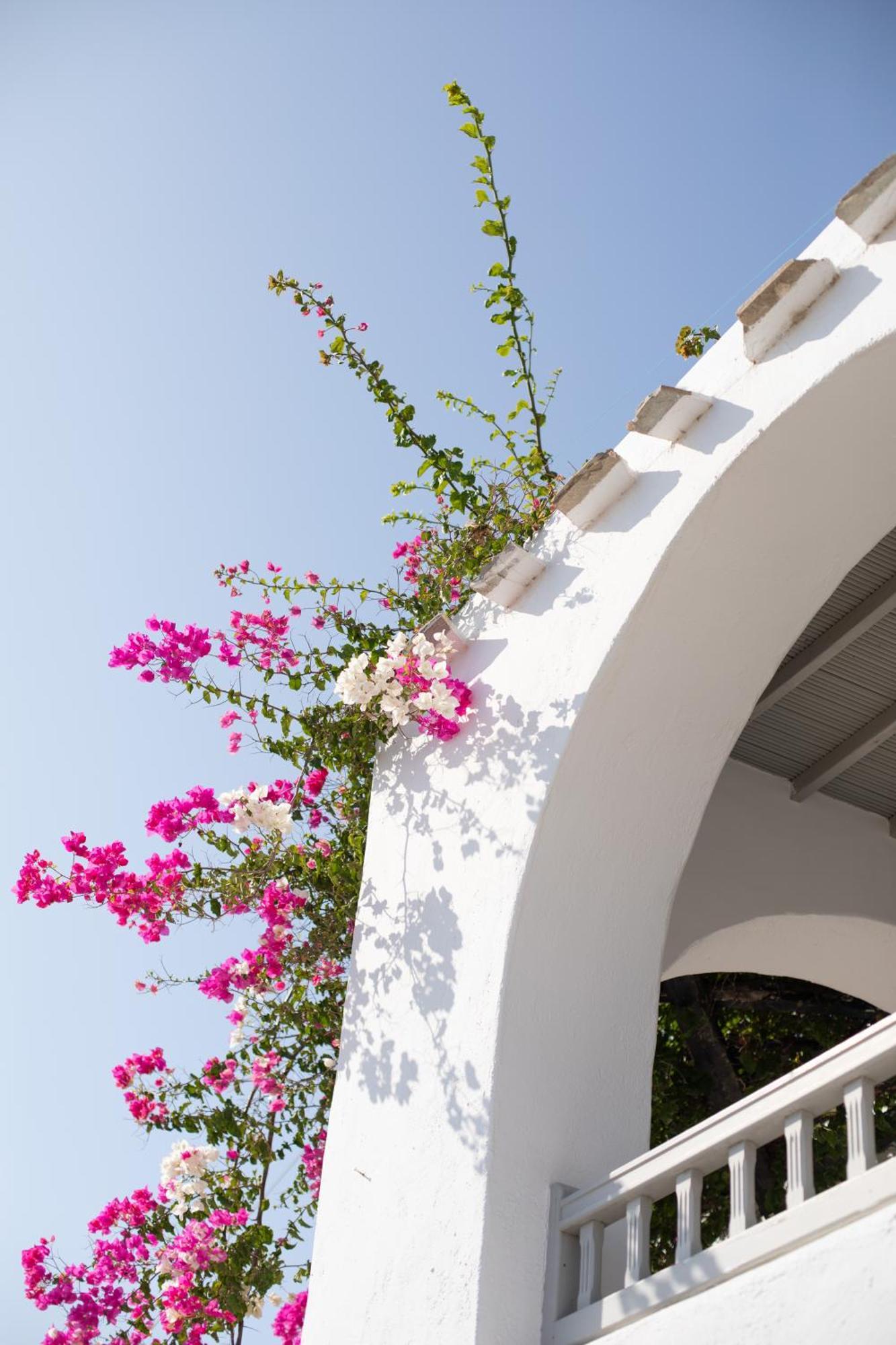 Apartamento Apostolis Windmill Psarou  Exterior foto
