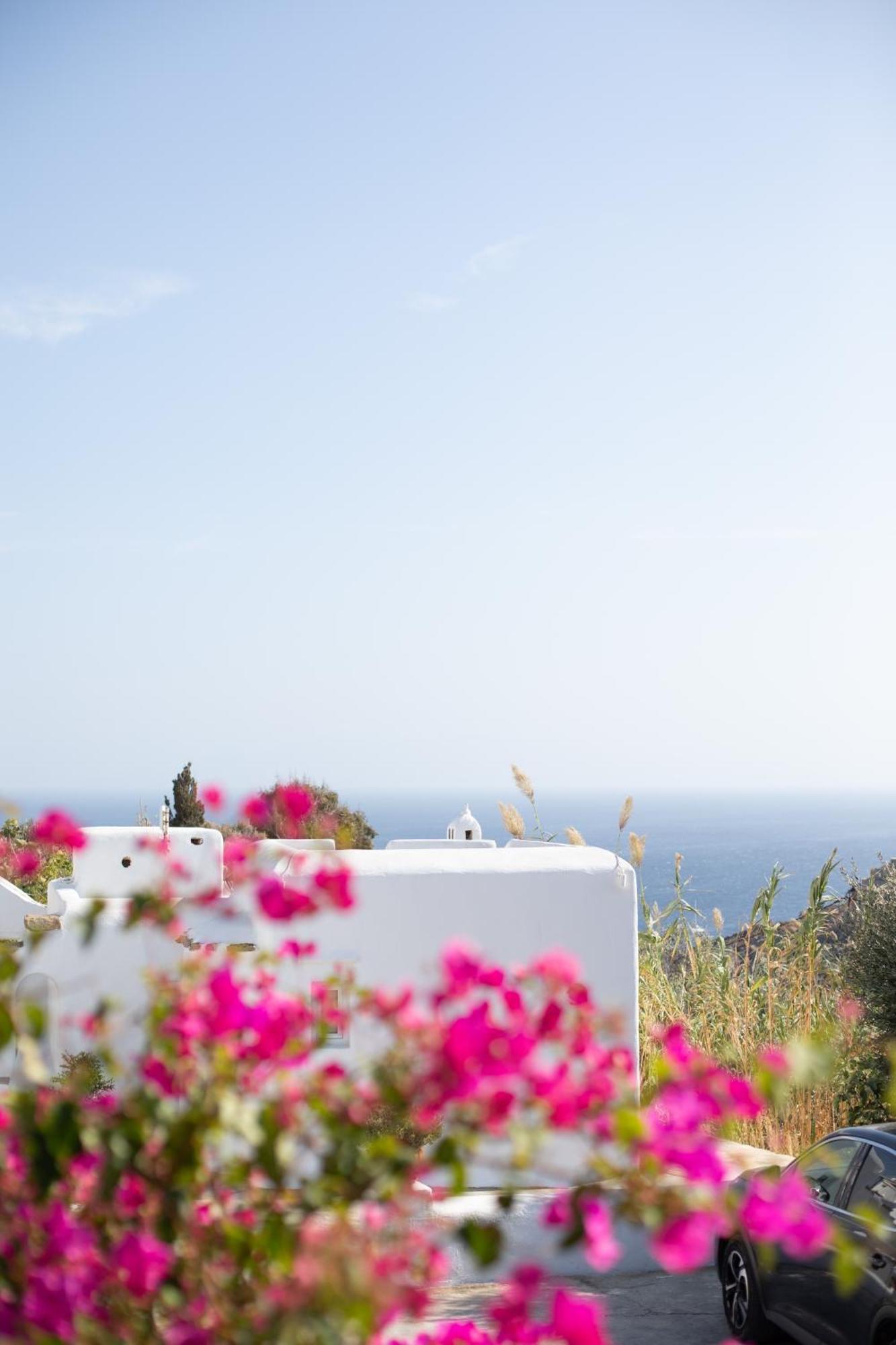 Apartamento Apostolis Windmill Psarou  Exterior foto